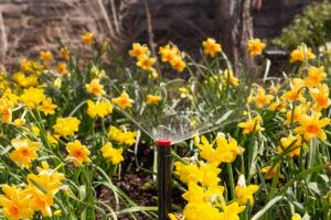 Sprinkler turned on for springtime De-winterize for spring