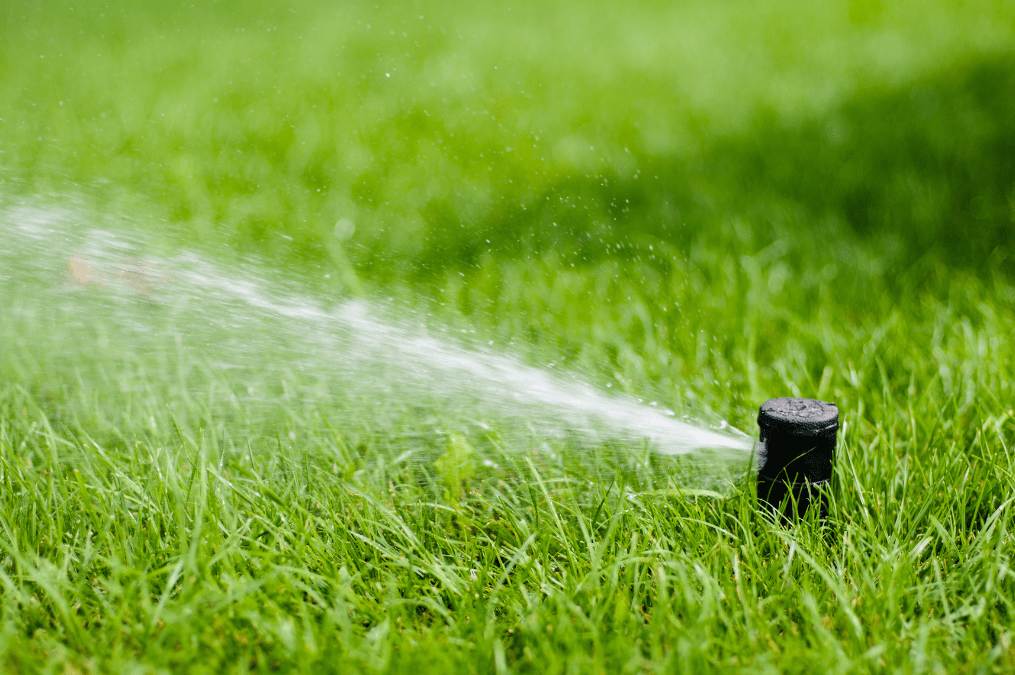 Sprinkler head spraying water, signaling need for irrigation repair in Omaha lawn